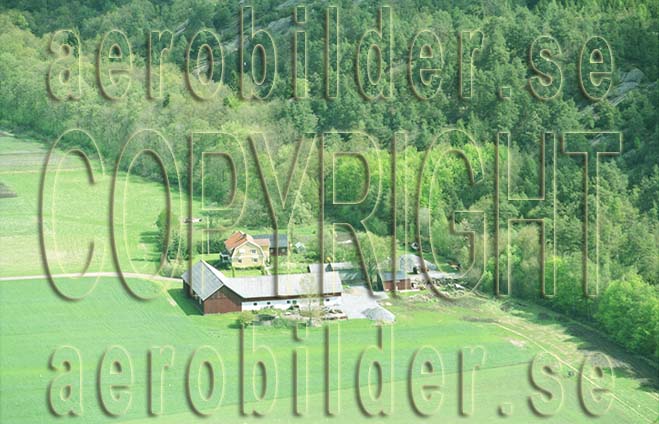 FFF 03005, #36. FFF 03005_0036 (Uppges vid kontakt med Svenska Aero-Bilder AB)